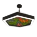 RICOMAN-Lighting-product-floralume-hexagonal-02